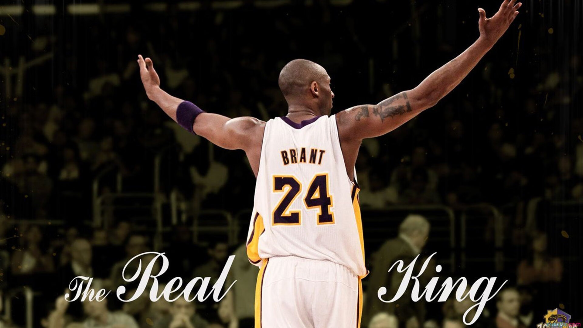 CBA赛场燃起新一轮冠军之争，cba冠军争夺